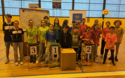 🏸 Compétition départementale de badminton à Janzé